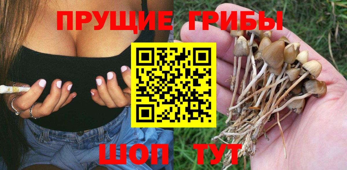 Псилоцибиновые грибы мухоморы  Вход с VPN  Берёзовский  магазин продажи   Галлюциногенные грибы мицелий 